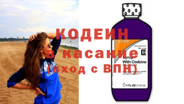 индика Алексин