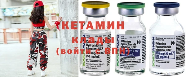 стаф Алзамай