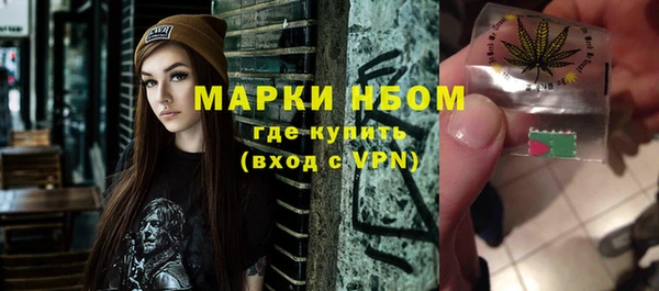 индика Алексин