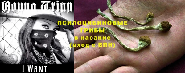индика Алексин