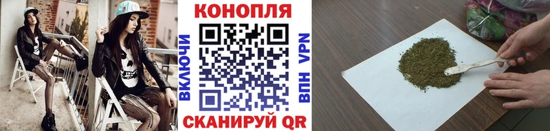 Бошки Шишки семена  наркошоп  Сясьстрой 